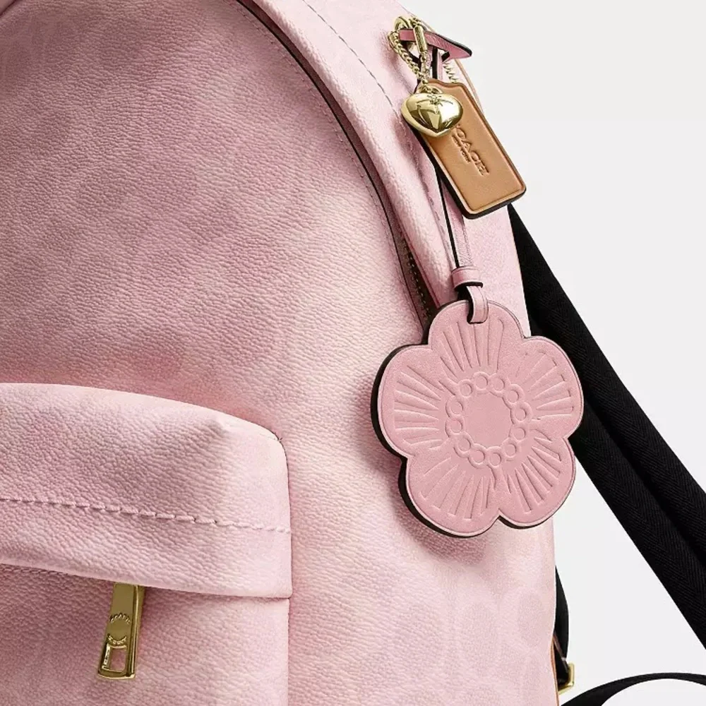 NWT！COACH Taylor Small Backpack In Signature With Charms（CEF46）fast shipping